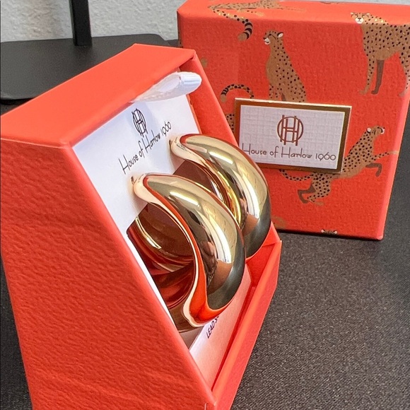 House of Harlow 1960 | Hoop Earrings ✨ - Picture 3 of 7